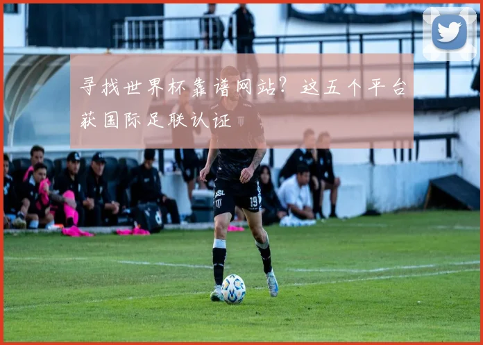 寻找世界杯靠谱网站？这五个平台获国际足联认证