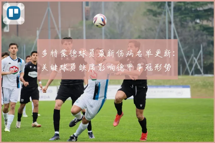 多特蒙德球员最新伤病名单更新：关键球员缺席影响德甲争冠形势