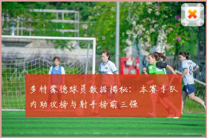 多特蒙德球员数据揭秘：本赛季队内助攻榜与射手榜前三强