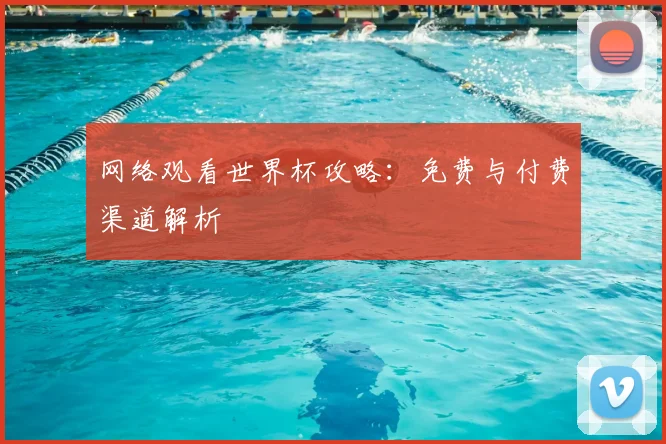 网络观看世界杯攻略:免费与付费渠道解析