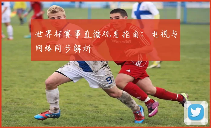 世界杯赛事直播观看指南：电视与网络同步解析