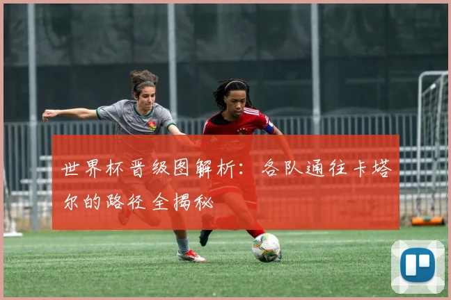世界杯晋级图解析:各队通往卡塔尔的路径全揭秘