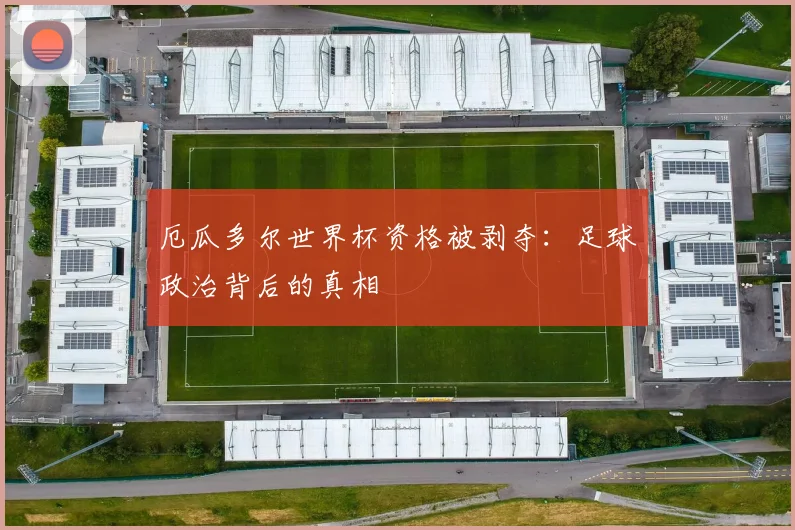厄瓜多尔世界杯资格被剥夺：足球政治背后的真相