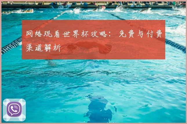 网络观看世界杯攻略：免费与付费渠道解析