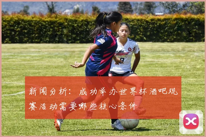 新闻分析：成功举办世界杯酒吧观赛活动需要哪些核心条件
